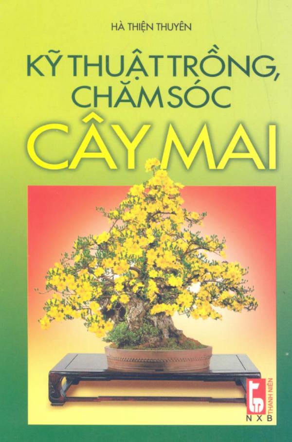 Kỹ Thuật Trồng, Chăm Sóc Cây Mai