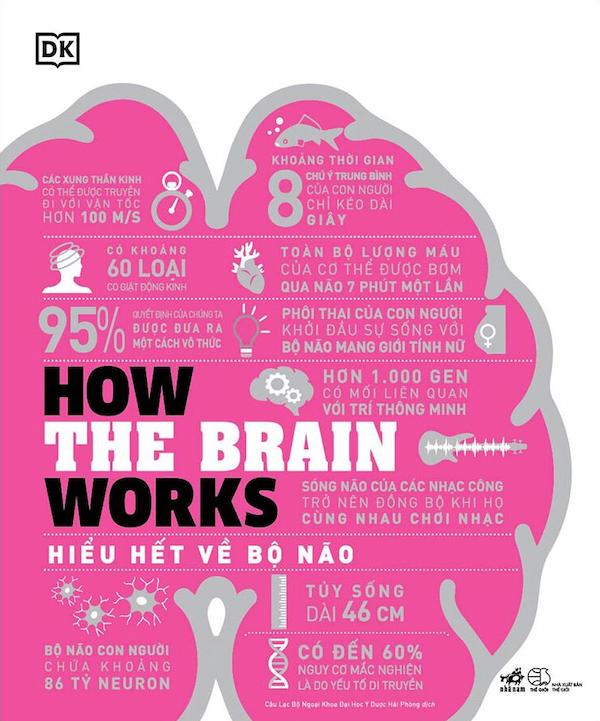 How The Brain Works - Hiểu Hết Về Bộ Não