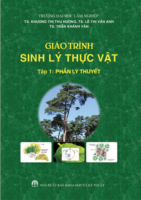 Giáo trình sinh lý thực vật - tập 1 : Phần lý thuyết
