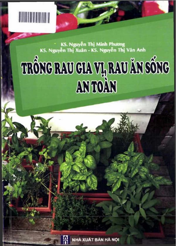 Trồng rau gia vị, rau ăn sống an toàn